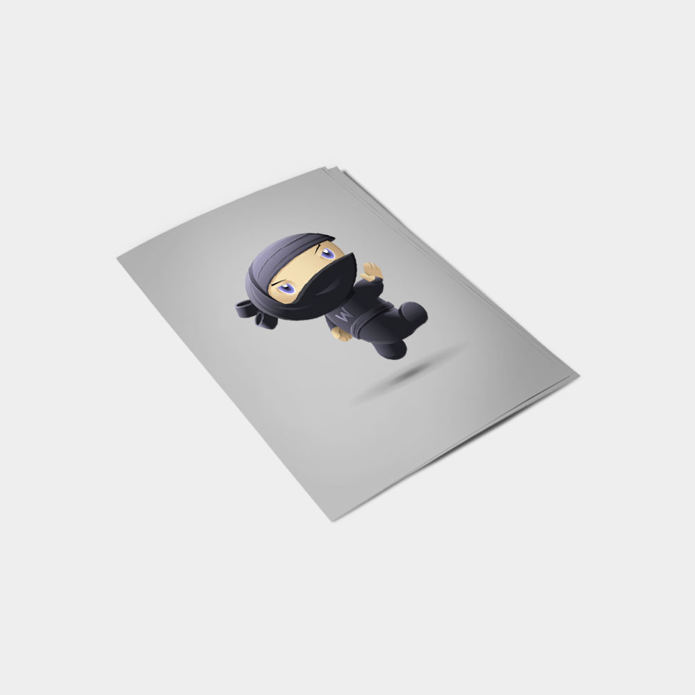 Flying Ninja - Görsel 2